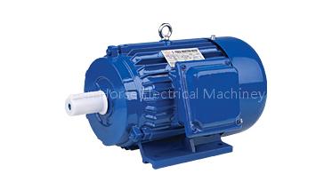 Y Series Three-Phase Induction Motors