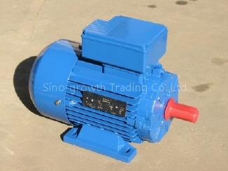 IEC Standard Three Phase Induction Motor:
