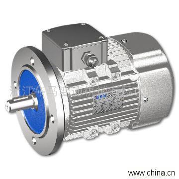 Three-phase Motor
