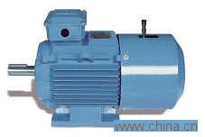 Brake Motors