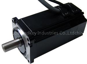 Brushless DC Servo Motors