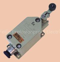 Explosion-Proof Lead Switch