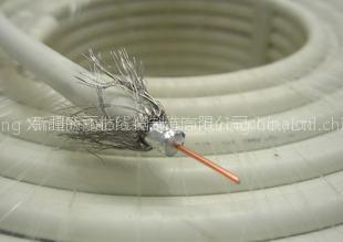 Network Cable