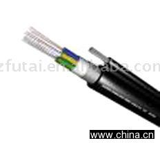 Coaxial Cable