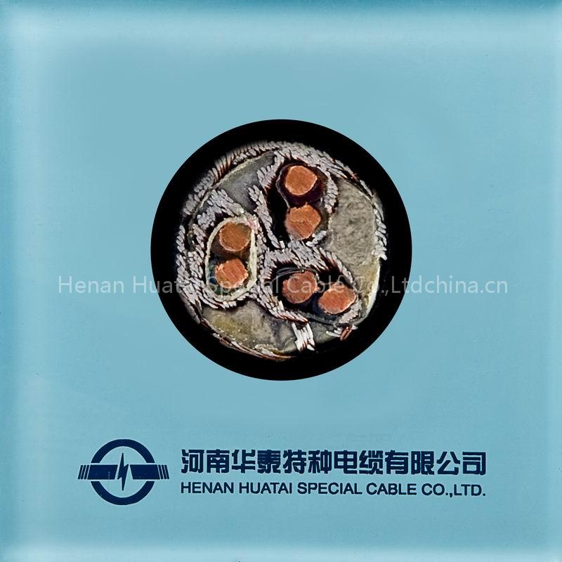 PVC/XLPE Insulated Shielded Computer Cable