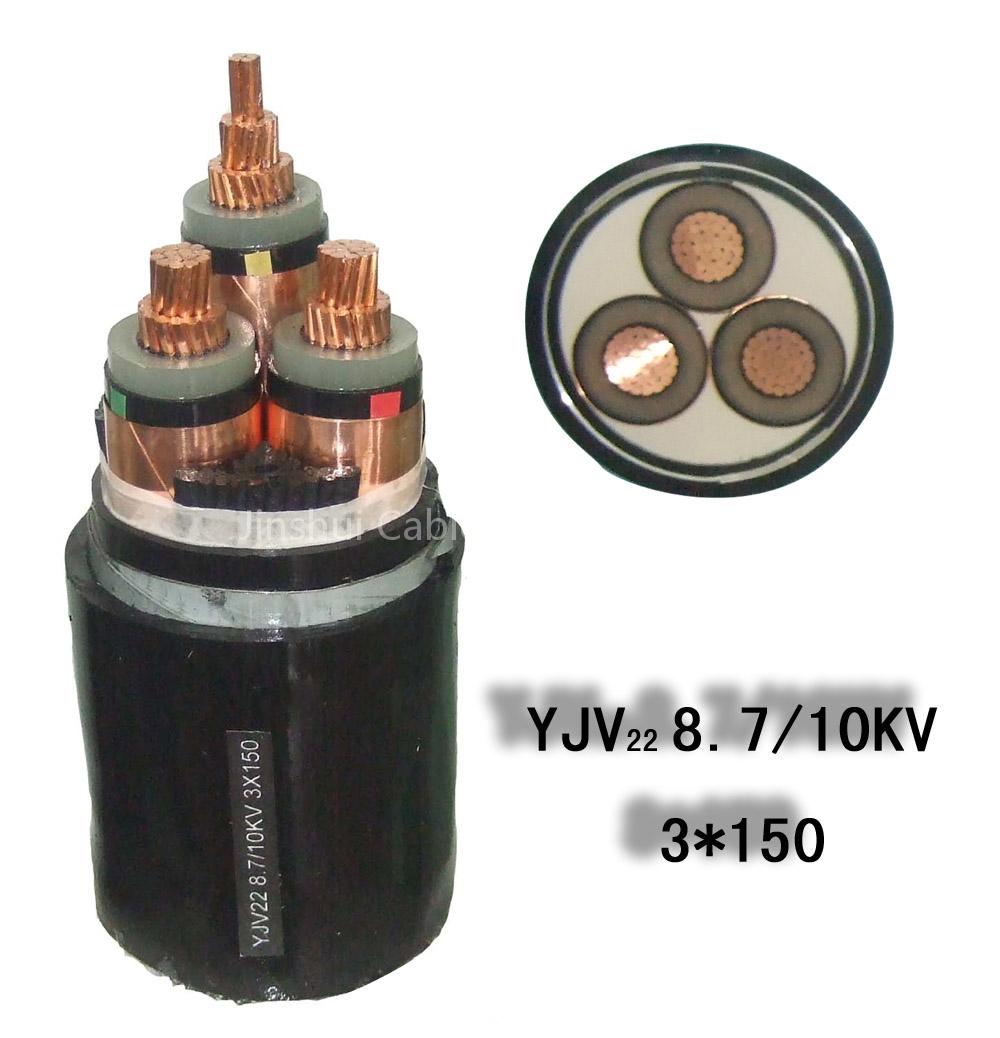 XLPE Insulated Power Cable(10--110kV )
