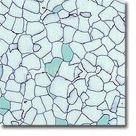 Anti static Pvc Flooring SJ-9305