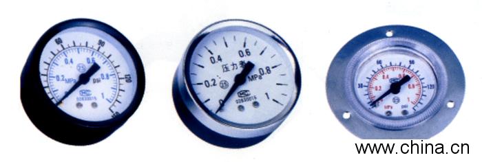 GS. GF series gauge