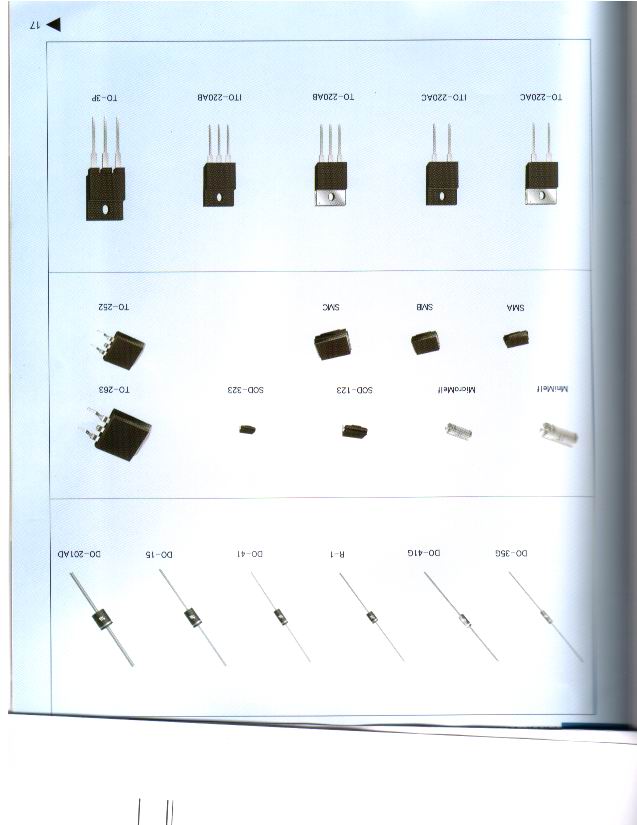 Malaysia Diodes