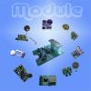 IC Module With Different Voice (Hong Kong)