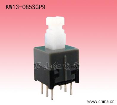 KW13-085SGP9
