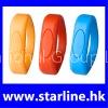 Flash Memory 242(1GB-8GB)