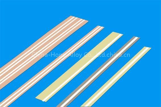 Noble Clad Metal/Silver Strip