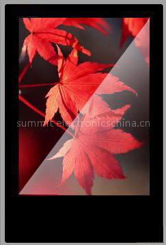 22inch lcd advertising screen, vertical display