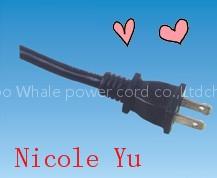 North American power cord