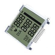 Segment LCD Module