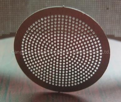 Earphone Filter Screen