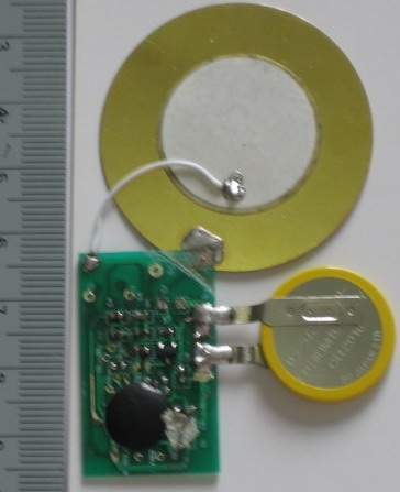 China (Mainland) Sound Module For Name Card