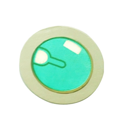 China (Mainland) Piezo Ceramic Element