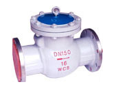 check valve