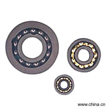Ceramic Bearing