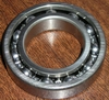 United Arab Emirates Bearing