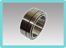 Double row full complement cylindrical roller bearings