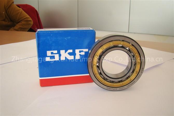SKF Bearings