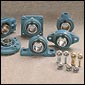 China (Mainland) Pillow Block Bearing