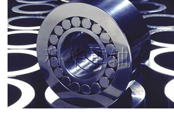 China (Mainland) Cylindrical Roller Bearing ( Double Row )