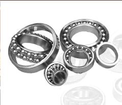 India Fbj Japan Brand Ball & Roller Bearings