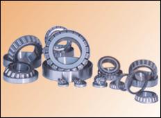 India Tapper Roller Bearings