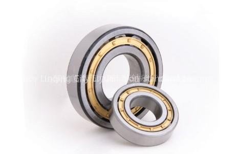 Cylindrical Roller Bearings