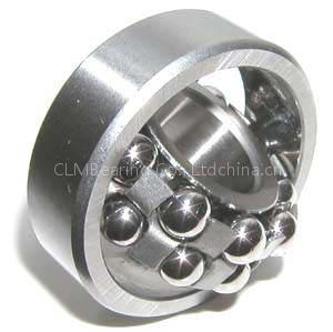 Self-Aligning Bearing