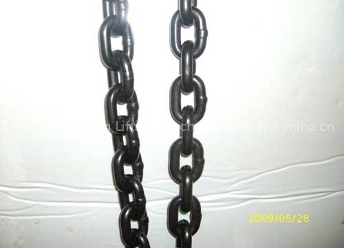 Lifting Chain