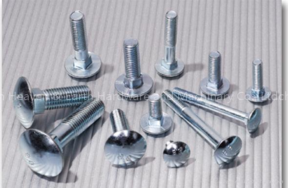 Carriage Bolt