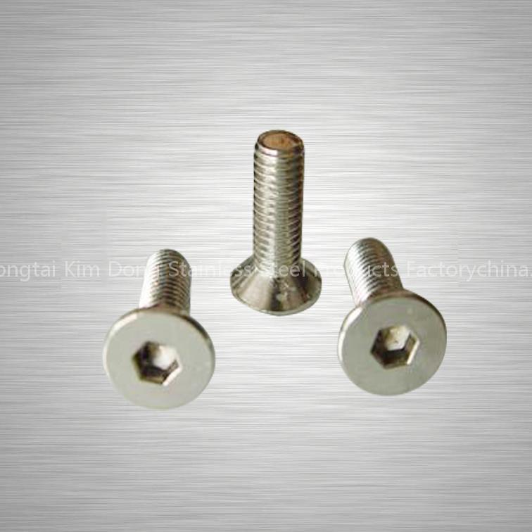 Stainless steel countersunk head screws Hexagon