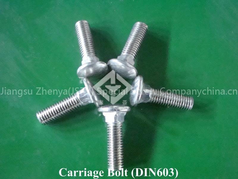 Carriage Bolt(Din603)/Track Bolt/Stainless steel bolt/Fastener