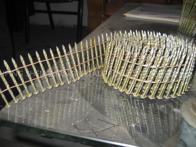 coil nail