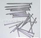 Common Wire Nail