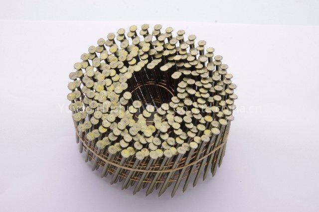 coil nail,coil nails,nail