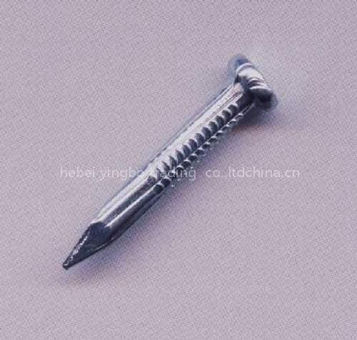 gakvanized nail