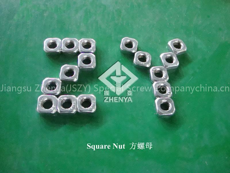 Square nut/stainless steel nut/fastener