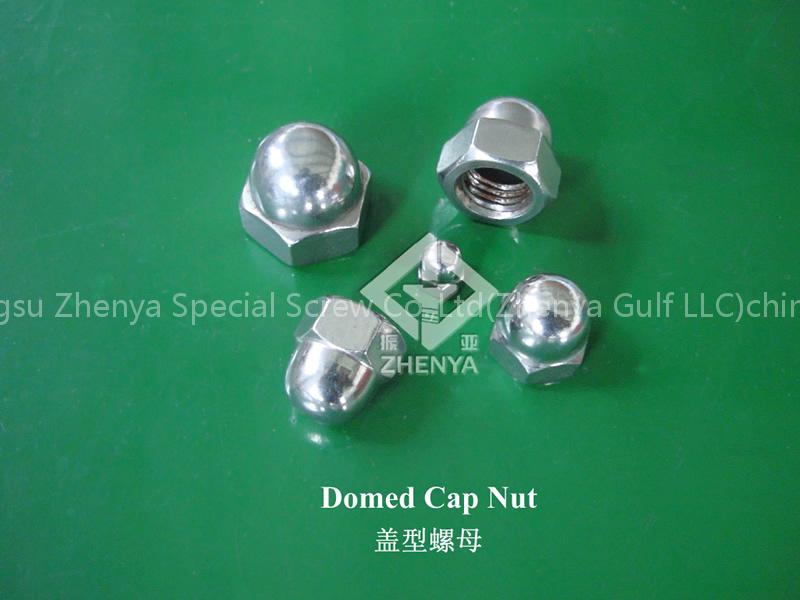 Domed Cap Nut(DIN1587)