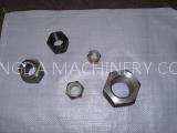 hex nuts