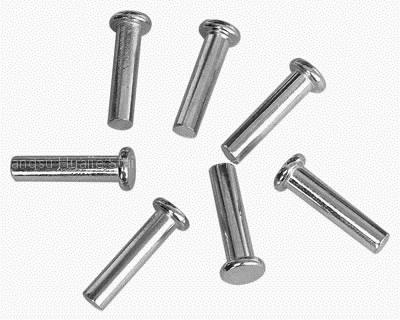 stainless steel rivet