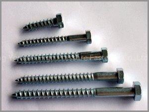 Hex Lag Screw