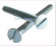 Slotted Csk Head Screw