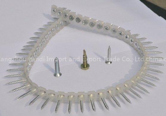collated screw