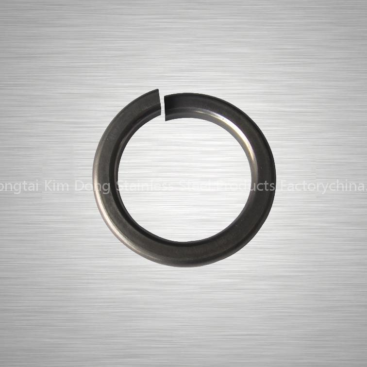 Stainless steel spring washers
